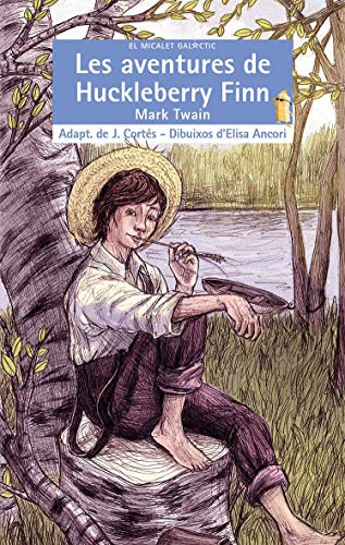 Les Aventures de Huckleberry Finn